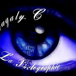 只是结婚的关(guān)系24集全(quán)集在(zài)