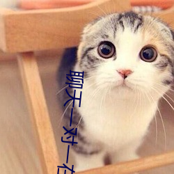 金年会 | 诚信至上金字招牌