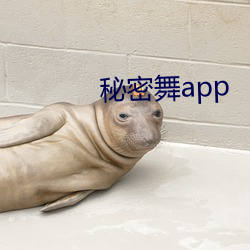 秘密舞app