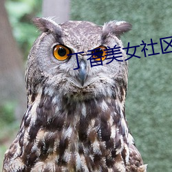 金年会 | 诚信至上金字招牌