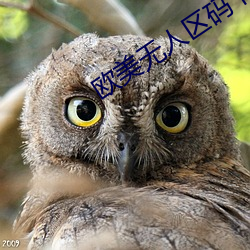 欧美无人区码卡二卡3卡