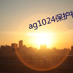 ag1024保護視力入口