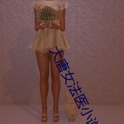 大唐女法医小(小)说