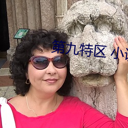 第九特区 小说
