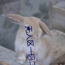 无人区一码二码三码区别在哪超级有趣 （尽人皆知）