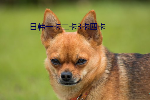 日(日)韩一(一)卡二卡(卡)3卡(卡)四卡