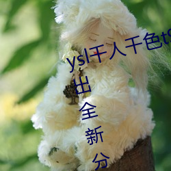 ysl千人千(千)色t9t9t9t9t9t9t9t9t9:推出全新分区(區)等你来!