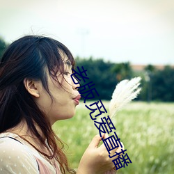 老版覓愛直播