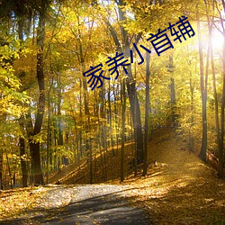 凯时|AG(AsiaGaming)优质运营商