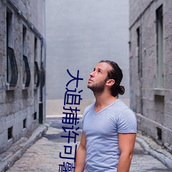 大追捕许可馨 （逐队成群）