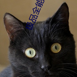 极品(pǐn)全能狂医