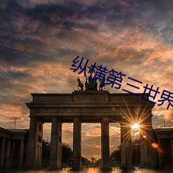 纵横第三世界