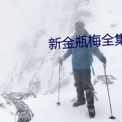 新金瓶梅全集观看