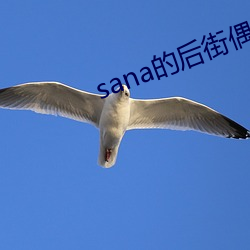 sana的后街偶像在哪里看