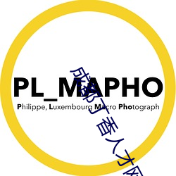 成都(dōu)丁香人(rén)才网官网