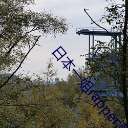 日本(běn)一姐rapper潮(cháo)水太多不看肯定(dìng)会(huì)遗憾