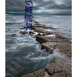 台湾富少李宗瑞