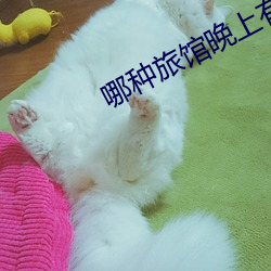哪種旅館晚上有服務