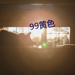 99黄色