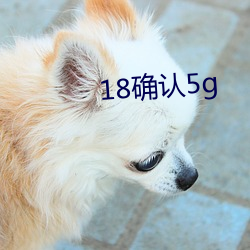 18确认5g