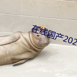 在线国产2022 精品