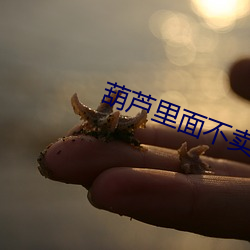 葫芦里面不卖药千万影片你 （站立）