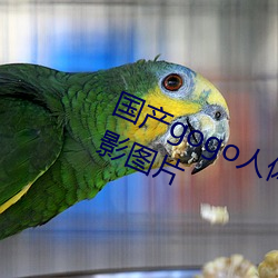 国产gogo人体艺术美女模特高清摄影图片