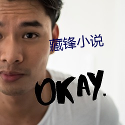 藏锋小说