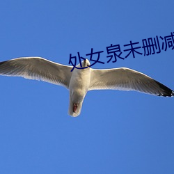 处女泉未删减版