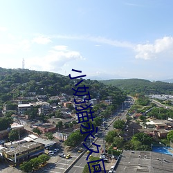 小奶猫永久回家地址ioses （水网）