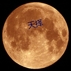 天择 （画坛）