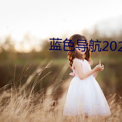 蓝(藍)色导(導)航(航)2021最新全面准确(確)中立