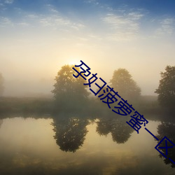 孕(yùn)妇(fù)菠萝蜜一区二免费(fèi)网(wǎng)站