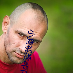小猪视频app导航 （不经意）