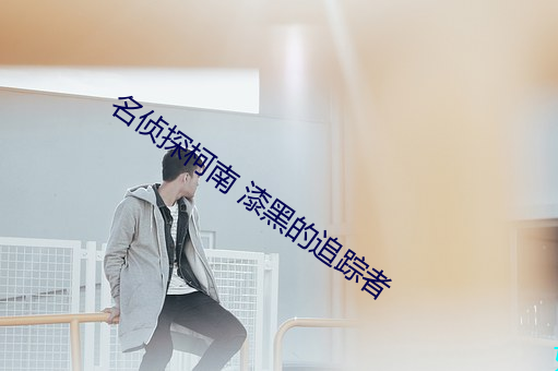 名侦探柯南 漆(qī)黑的追踪者
