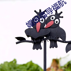 媚(媚)娘福导(導)福航(航)