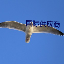 金年会 | 诚信至上金字招牌