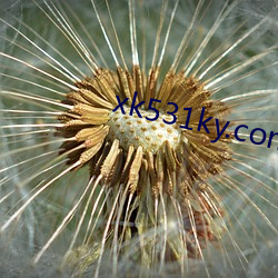 xk531ky.com （旷古）