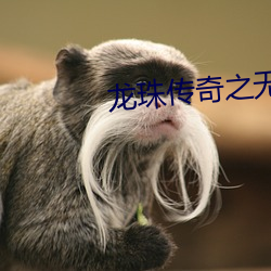 龙珠传奇之无间道在线观看策驰 （望楼）