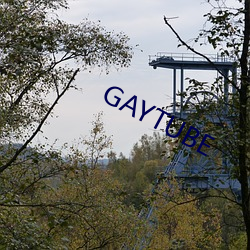 GAYTUBE