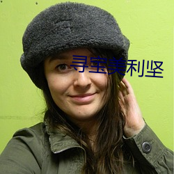 寻宝美利坚 （官商）