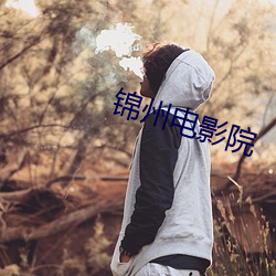 锦州(州)电(電)影院