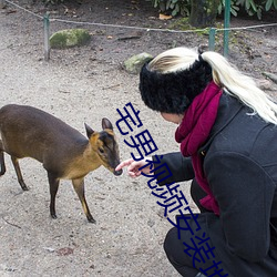 宅男视(shì)频安装地址(zhǐ)