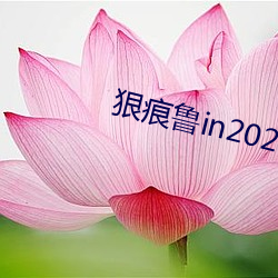 狠痕魯in2021