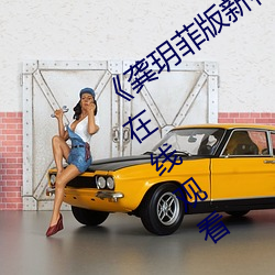 《龚玥菲版新梅瓶在线播放》完整版电影在线观看