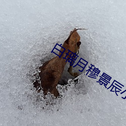&#x4ED6;&#30340;&#x767D;&#26376;&#x5149;&#31455;&#x7136;&#26159;&#x6211; | app&#22320;&#x5740;&#26368;&#x65B0;
