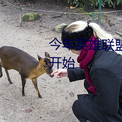 今年英雄联盟全明星赛什么时候开始