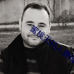 蜜桃无码人妻精品一区二区三区