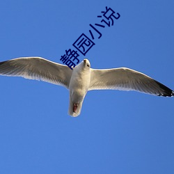 静园小说