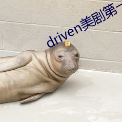 driven美剧第一季在线下